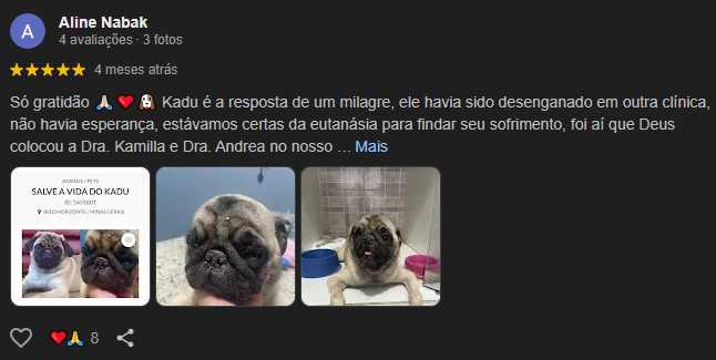 Comentarios upavet