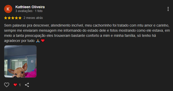 Comentarios upavet